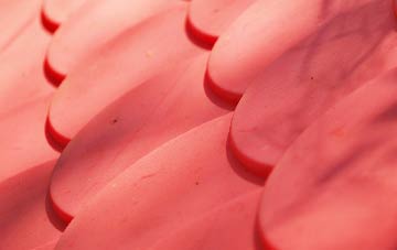 Leintwardine plastic roof costs